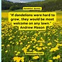 Quotes Dandelion Dan Artinya